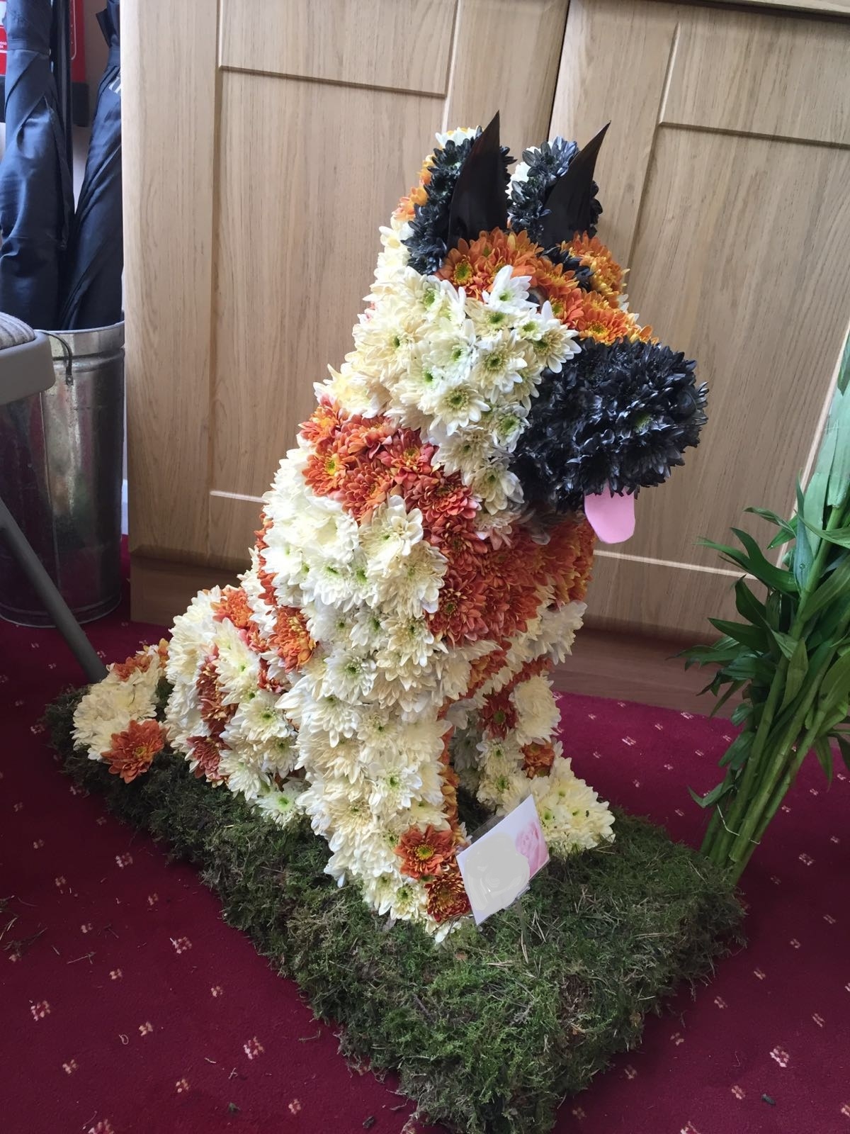 German Shepherd made from flowers
