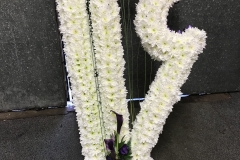 HARP made from flowers
