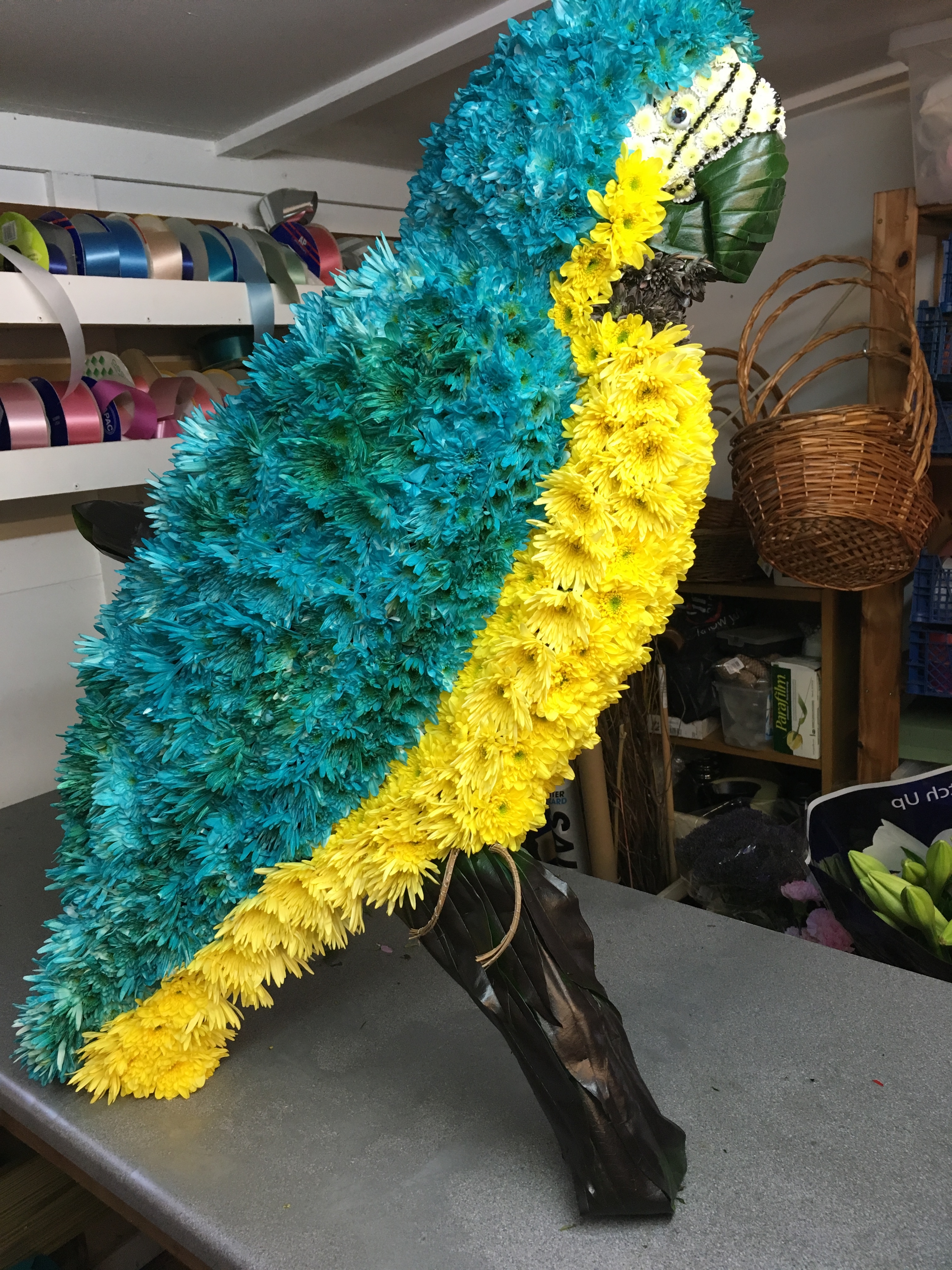 Macaw parrot made from flowers