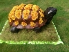 Tortoise made from flowers