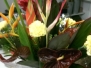 Hand Tied and Baskets