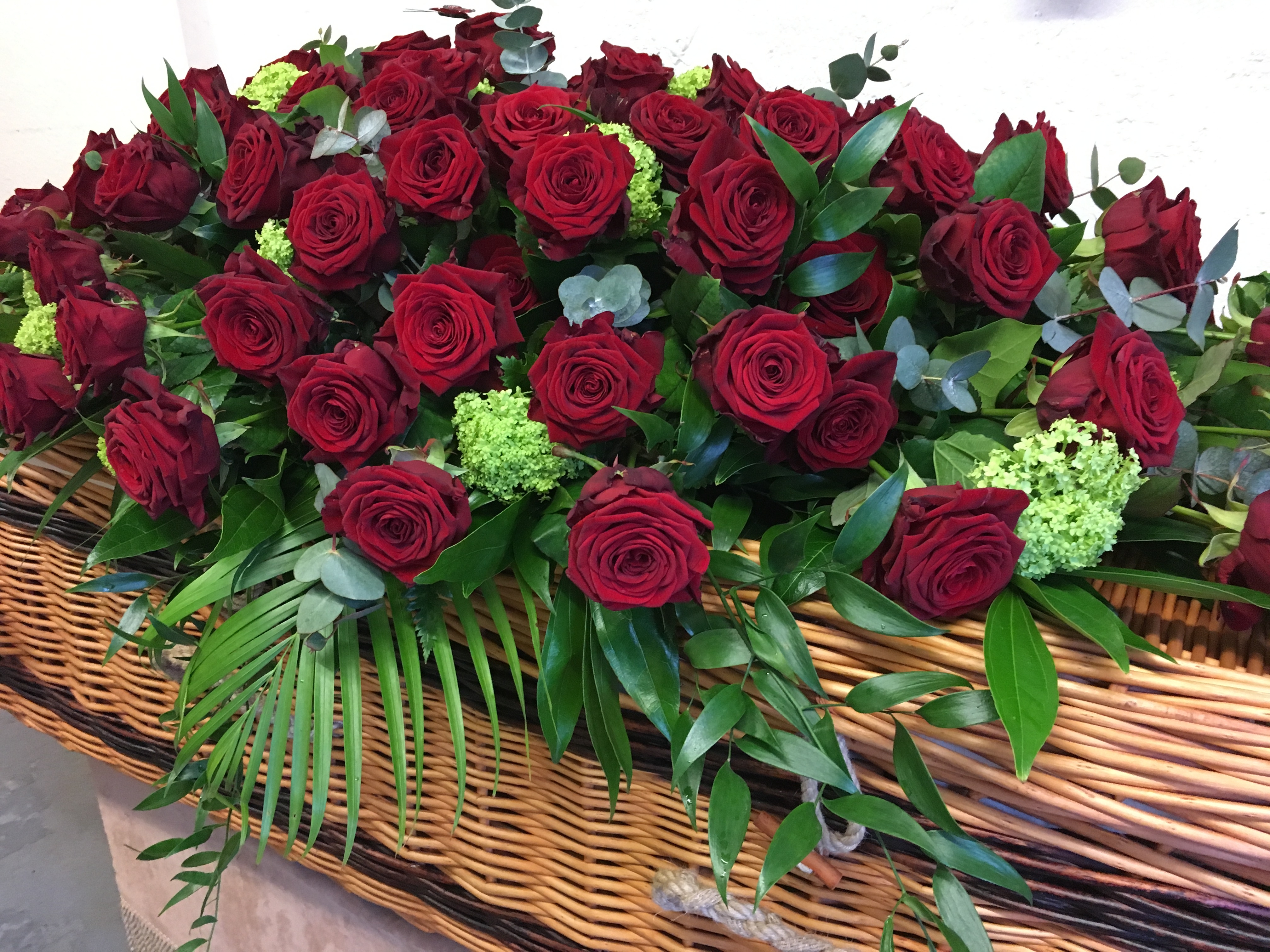 Red Grand Prix roses