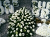 White Based Funeral Tribute letters