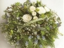 Posy Pads   