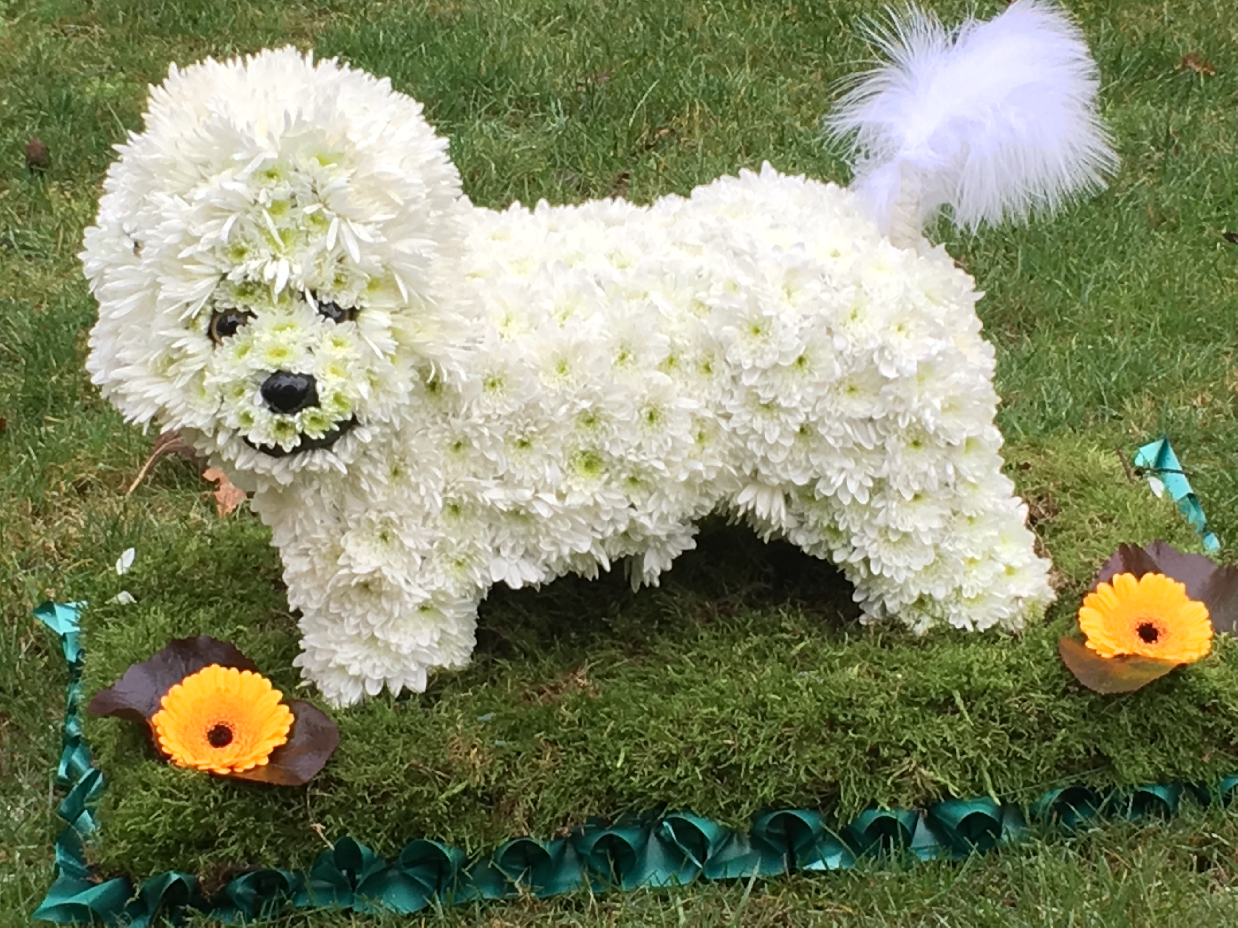 Bischon Frise made from flowers