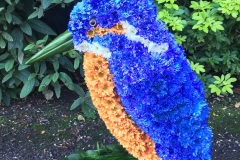 KINGFISHER made from flowers