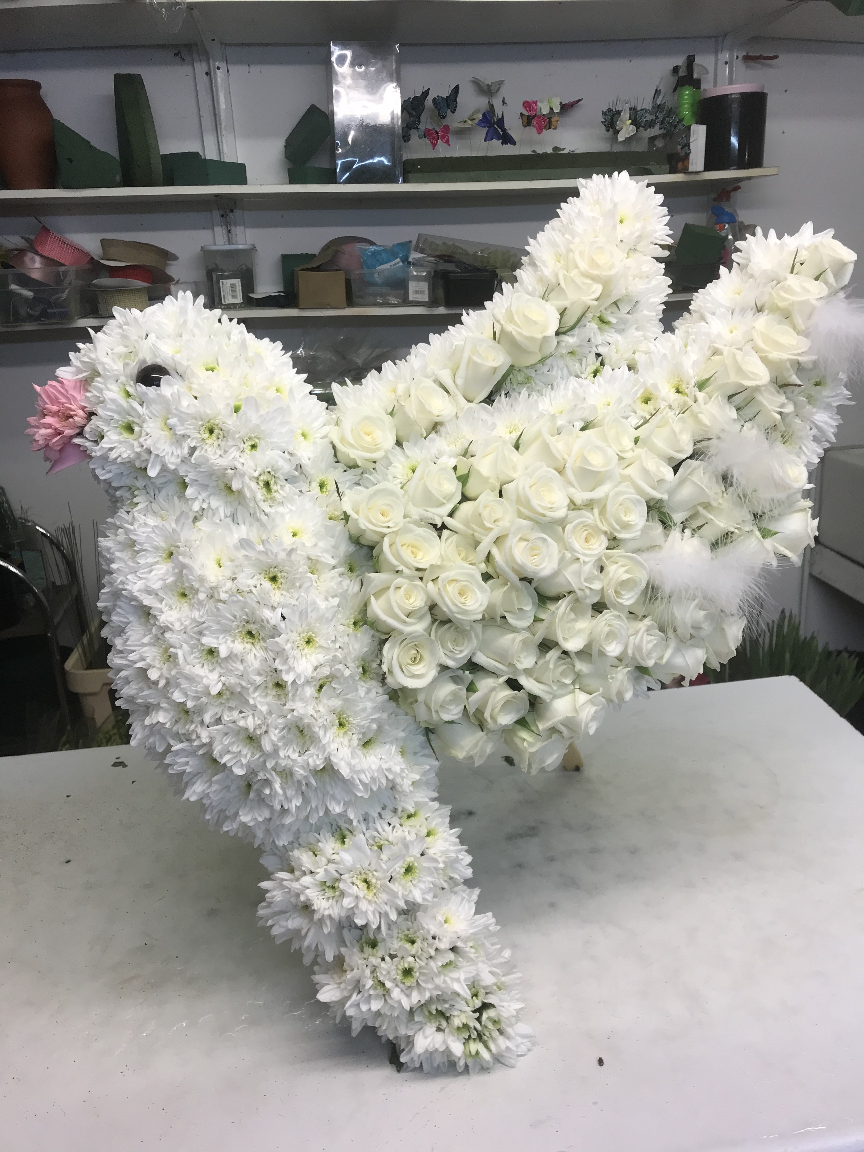 Dove funeral tribute  