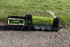 TRAIN made from flowers