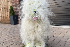 OLD ENGLISH SHEEP DOG made from flowers