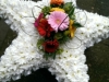 Star made from flowers