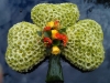 Shamrock made from flowers